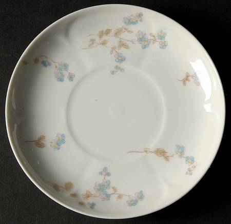 Schleiger 1300-1 Saucer