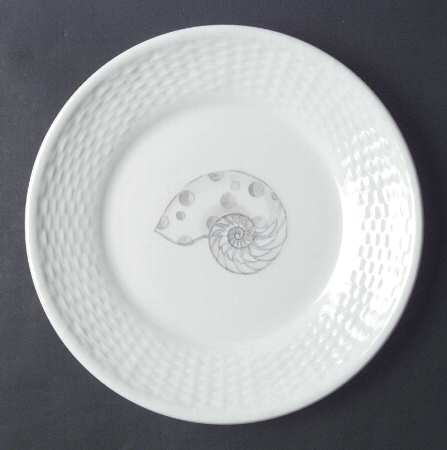 Nantucket Accent Luncheon Plate by Coalport