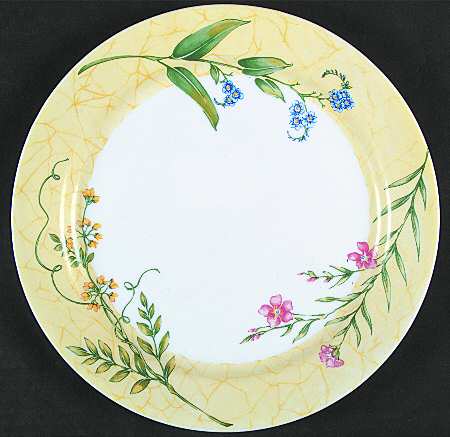 Sun Garden by Corning Corelle