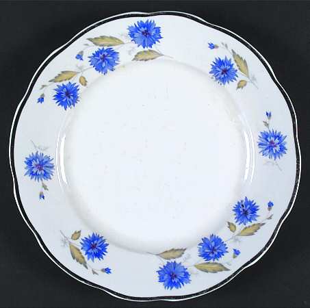 Cornflower (Platinum Trim) Dinner Plate