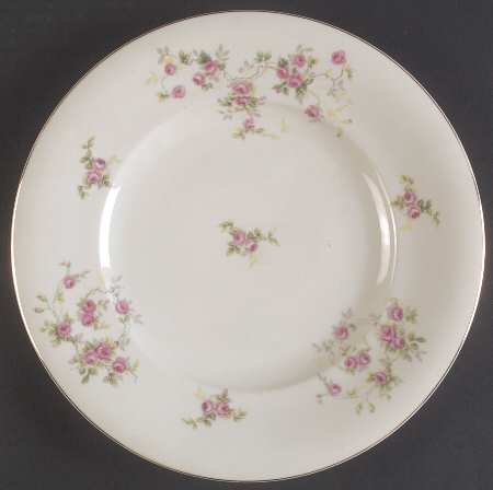 CST7 Dinner Plate