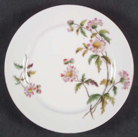 Schleiger 1311-3 by Charles Field Haviland