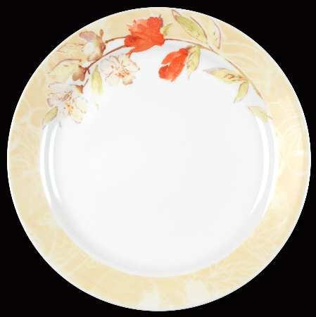 Livello (Corelle) by Corning Corelle