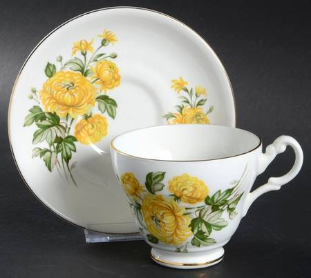 4485 Footed Cup & Saucer Set by Consort (England)