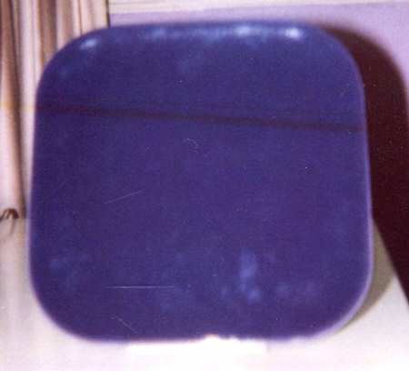 CDY1 Purple by Camp del Mar