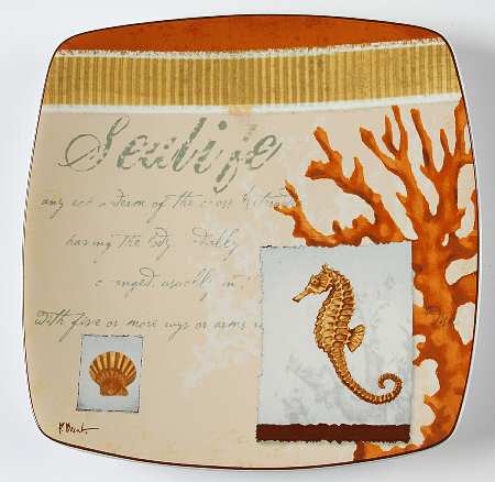 Aquarius Seahorse Square Salad Plate