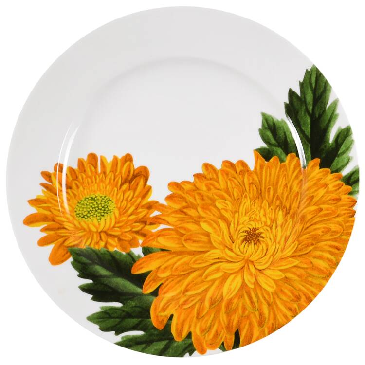 Flower Plates by Crate &amp; Barrel