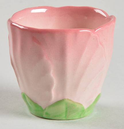 CAW17 Single Egg Cup
