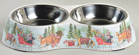 Special Delivery Double Pet Bowl with Metal Inserts