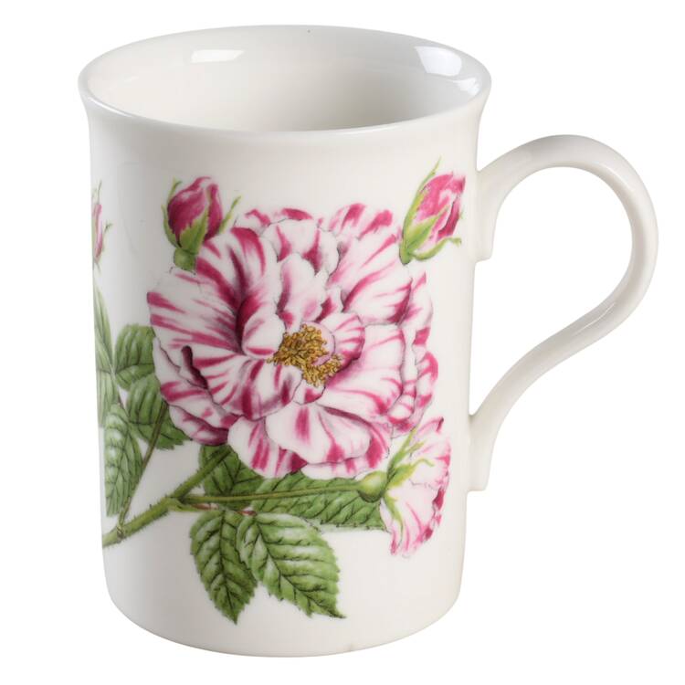 Various Mugs Only Mug