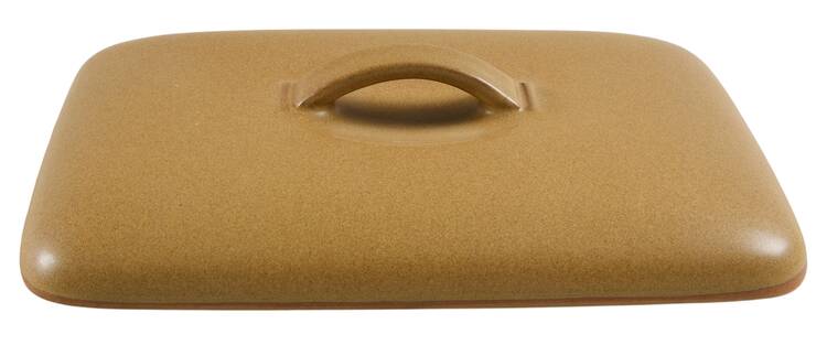 Ode Lid for Rectangular Covered Divided Vegetable