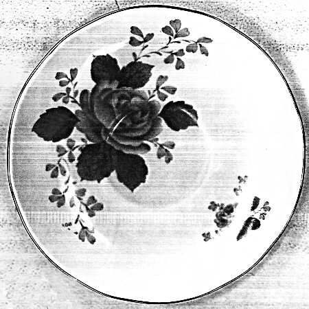 Fern Rose by Duchess