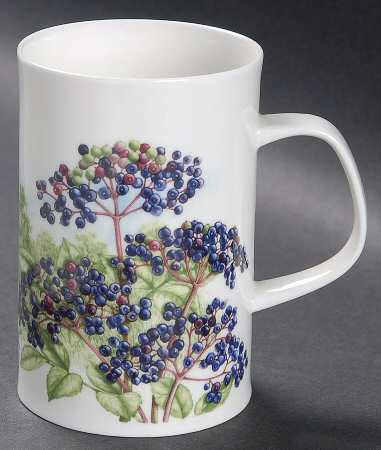 Hedgerow Fruits Mug