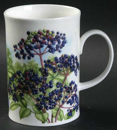 Hedgerow Fruits Mug