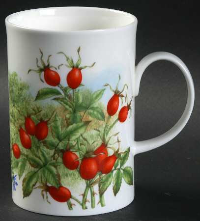 Hedgerow Fruits Mug