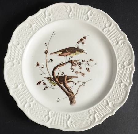 Birds of America (Scroll Rim) Dinner Plate