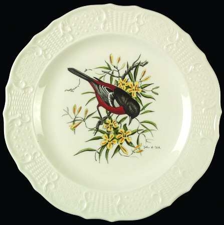 Birds of America (Scroll Rim) Dinner Plate