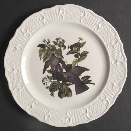 Birds of America (Scroll Rim) Dinner Plate