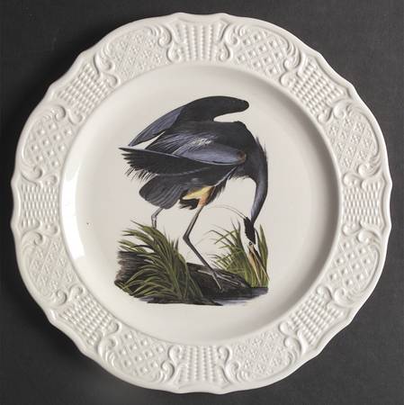 Birds of America (Scroll Rim) Dinner Plate