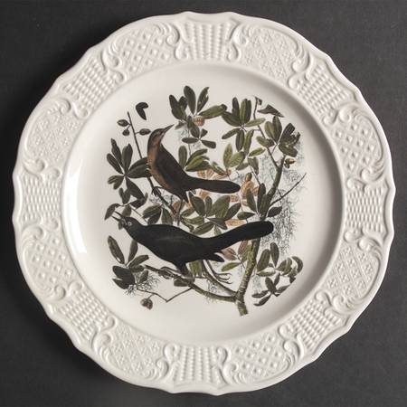 Birds of America (Scroll Rim) by Delano Studios