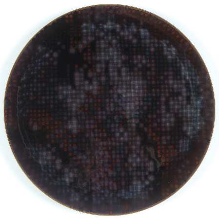 Swatch 13" Chop Plate (Round Platter)
