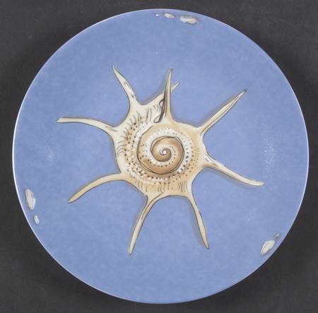 Sea Shells by Philippe Deshoulieres