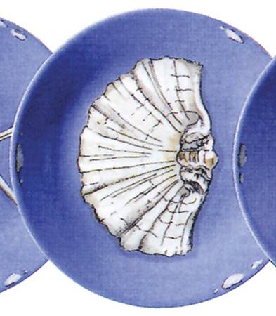 Sea Shells Canape Plate
