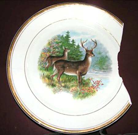 D3318 Luncheon Plate