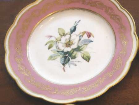 DAV33 Salad Plate