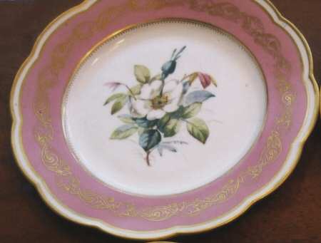 DAV33 Salad Plate