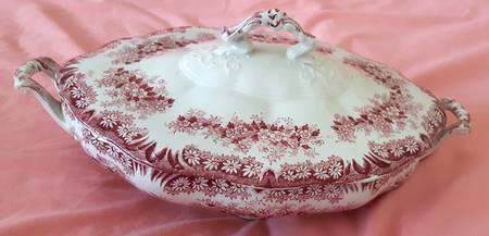 Daisy Red by Dudson, Wilcox &amp; Till