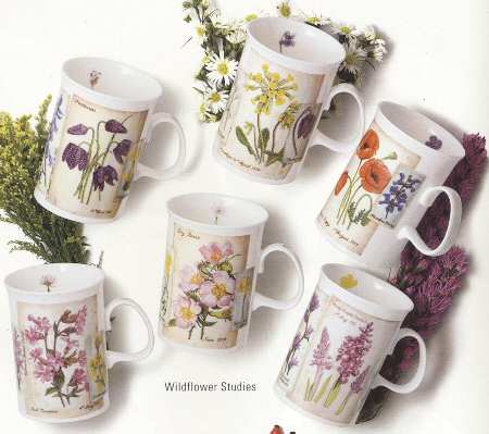 Wildflower Studies by Dunoon