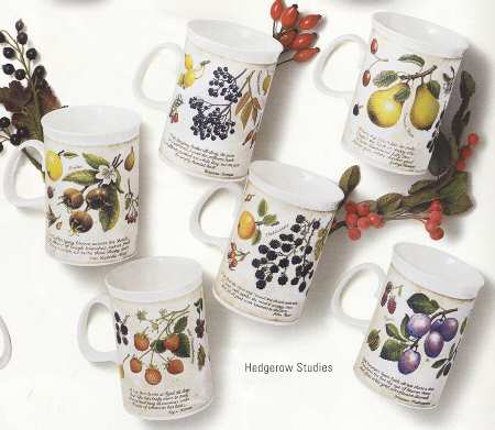 Hedgerow Studies by Dunoon