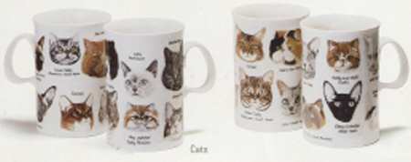 Cats by Dunoon