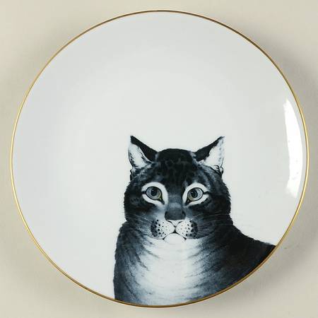 Favorite Cat, The by Philippe Deshoulieres