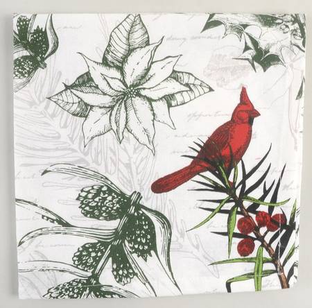 Table Linens & Accessories Cloth Napkin - Set of 4