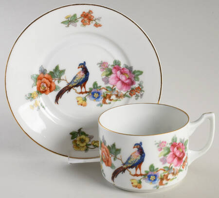 6509 Flat Cup & Saucer Set by Epiag