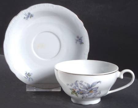 Wild Flower Footed Cup & Saucer Set