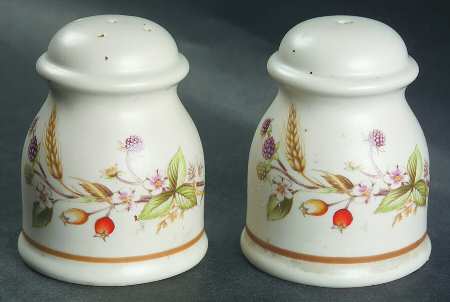 Harvest Salt & Pepper Set