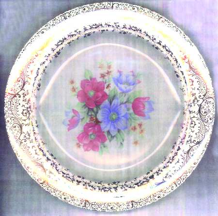 EAN24 Dinner Plate