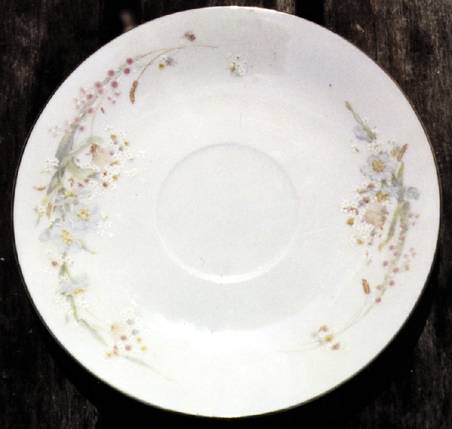 FCC32 Saucer