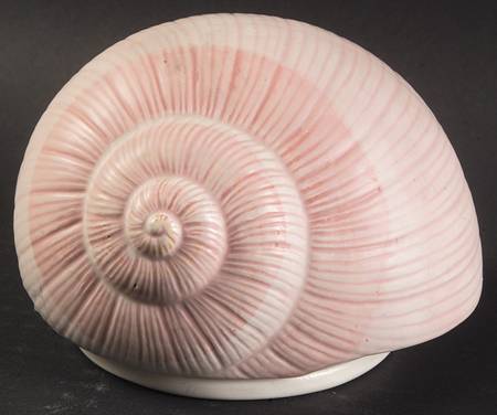 Coquille Sculpted Box & Lid