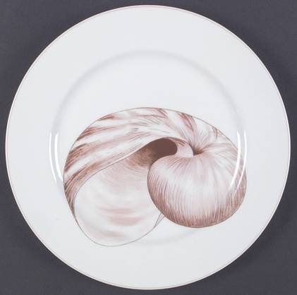 Coquille Dinner Plate by Fitz and Floyd