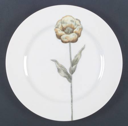 Pastel Poppy (White Background) Dinner Plate
