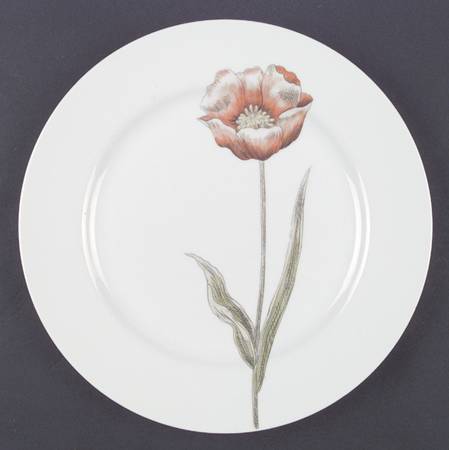 Pastel Poppy (White Background) Dinner Plate