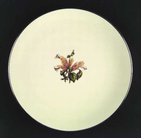 Cambria No Color Band (Platinum Trim) by Flintridge
