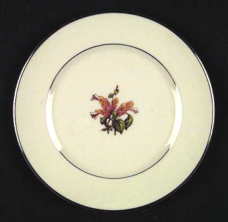 Cambria No Color Band (Platinum Trim) Dinner Plate
