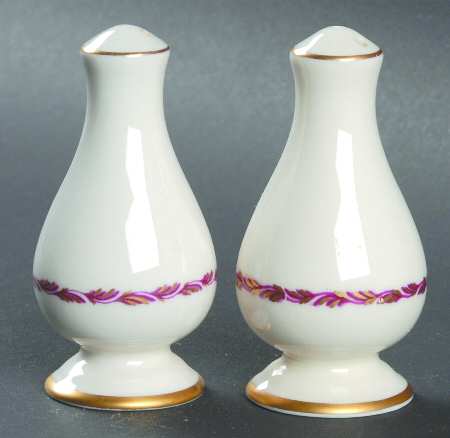 Arcadia Maroon Salt & Pepper Set