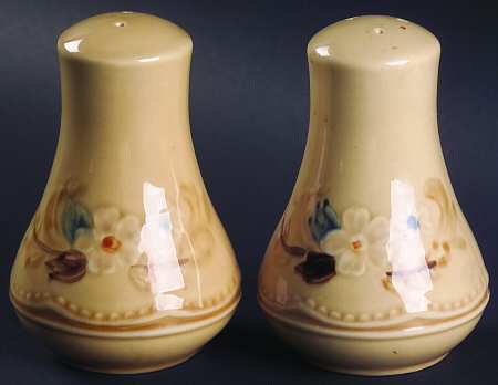 Bouquet (Tan Background) Salt & Pepper Set