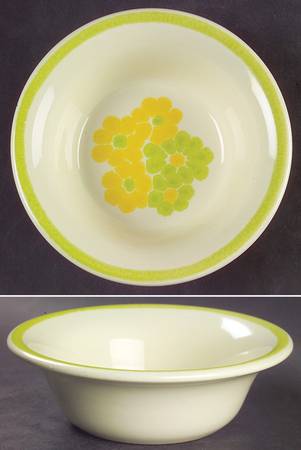 Picnic Fruit/Dessert (Sauce) Bowl